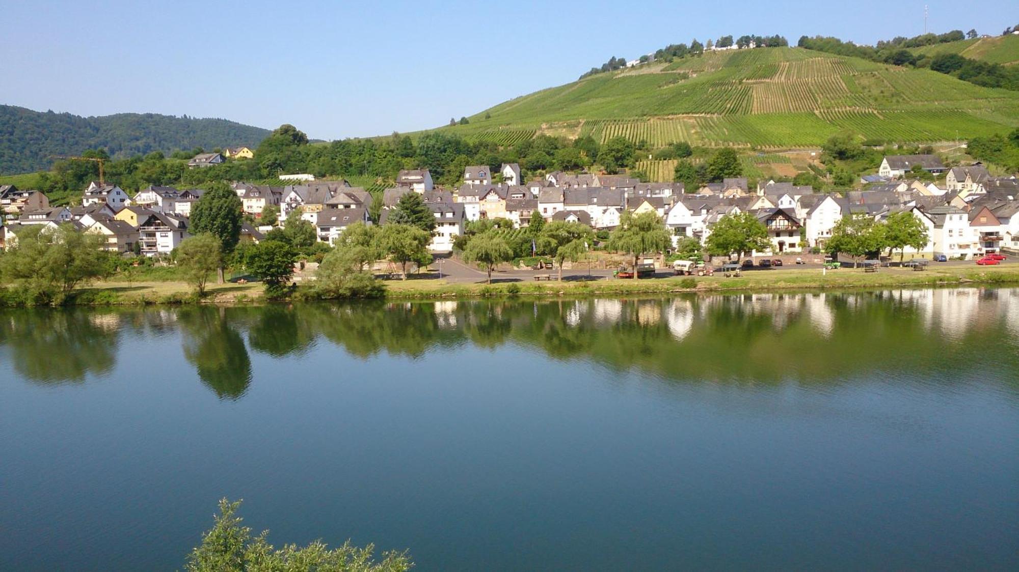 Mosel View Apartment Цел ан дер Мозел Стая снимка