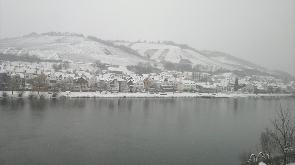 Mosel View Apartment Цел ан дер Мозел Екстериор снимка