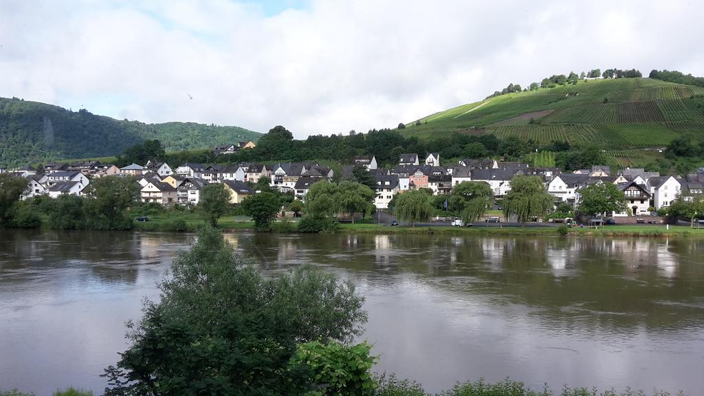 Mosel View Apartment Цел ан дер Мозел Екстериор снимка